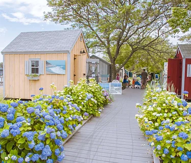 Hyannis HyARTS Artist Shanties week of September 10 – September 14, 2026 * OPEN May – Oct!
