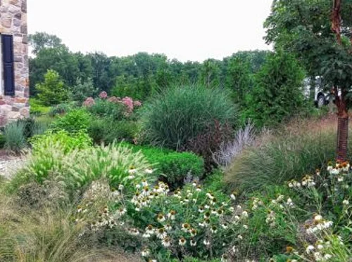 Creating Native Plant Communities