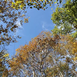 Growing Season Stewardship Days