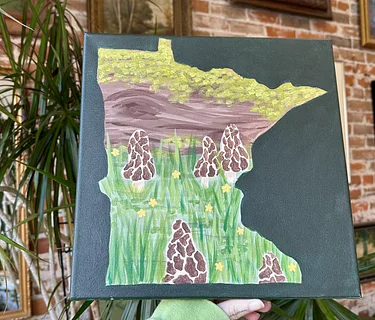 Minnesota Morels