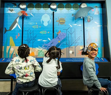 I AM WILD: A Charley Harper Exhibit