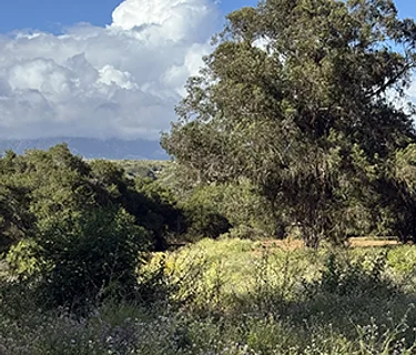 5th Annual CAC Multi-Chapter Paint/Sculpt-Out at Douglas Family Preserve