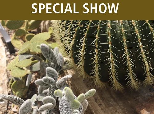Mid-Iowa Cactus & Succulent Display and Sale
