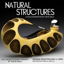GALLERY OPENING: NATURAL STRUCTURES | A Solo Exhibition by Steve Belz
