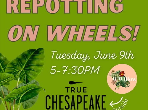 Repotting on Wheels