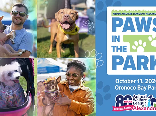 Paws in the Park 2026