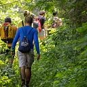 Naturalist Walk and Talk – Dragonflies and Damselflies