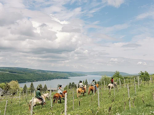 Trail Ride & Tasting