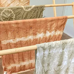 Buckthorn Dyeing Workshop