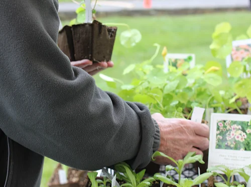 Spring Plant Sale