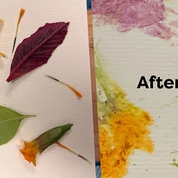 Eco-printing for Teens