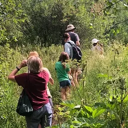 Nature Walk, Avon