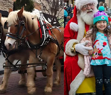 Home for the Holidays