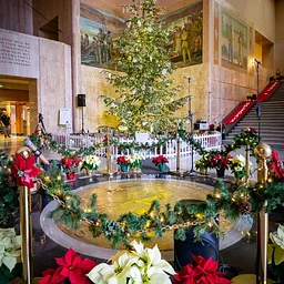 Annual Tree Lighting Ceremony