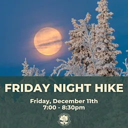 Friday Night Hike