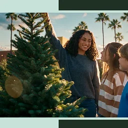 Holiday Tree Lot at The Home Depot