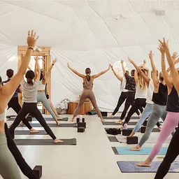 Hatha Yoga | Lexi Bann