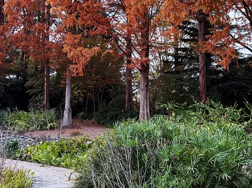 November Garden Tour