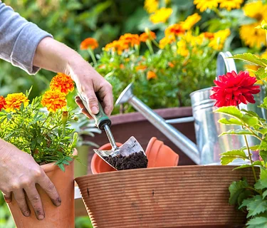 Spare-Time Gardening