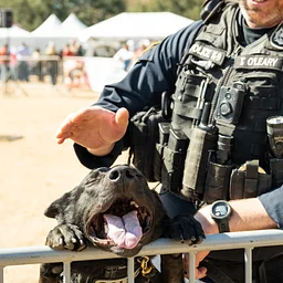 K9 Demo