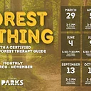 Forest Bathing