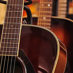The Hal & Jill Project – Beginning Guitar Lessons