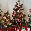 Guided Mansion Christmas Tours