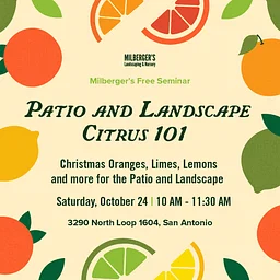 Patio and Landscape Citrus 101