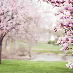First Day of Spring Term