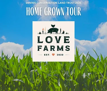 Home Grown Tour: Regenerative Farm Tour of Love Farms
