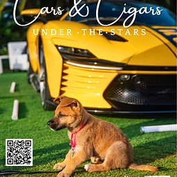 Cars & Cigars Under the Stars