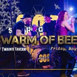 Swarm of Bees