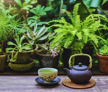 Earth Day Meditation Ceremony  