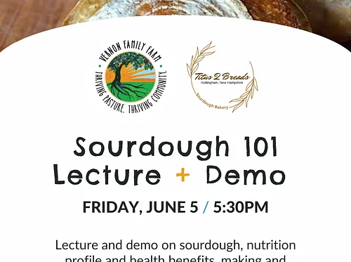 Sourdough 101: Lecture + Demo