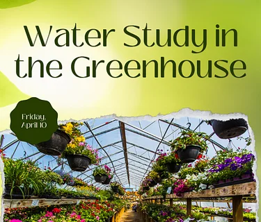 Water Study in the Greenhouse