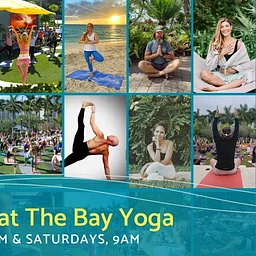 Namaste at The Bay Yoga