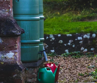MPU Rain Barrel Family Workshop