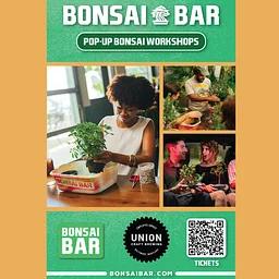 Bonsai Bar