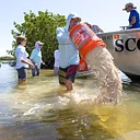 Tarpon Bay Oyster Restoration Trip