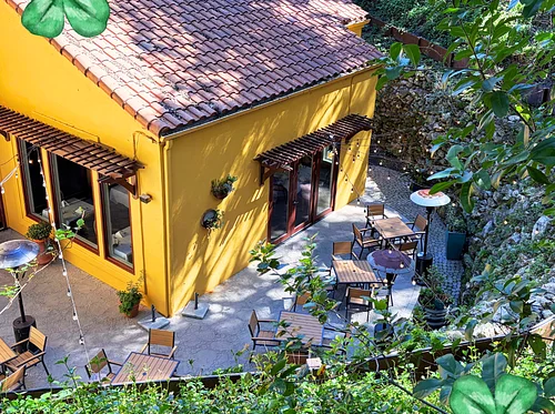 Dine for St. Patrick’s Day