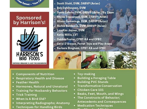 Phoenix Landing Wellness Retreat Welcome Party