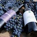 Bonfire & Barrel at Schram Vineyards
