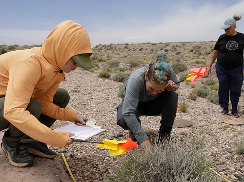 MNA Research Showcase