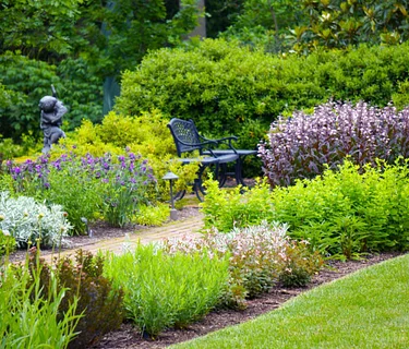 Design Workshop: Designing Your Native Perennial Garden