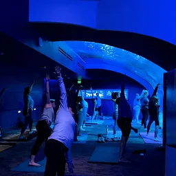 Mote SEA Restorative Yoga