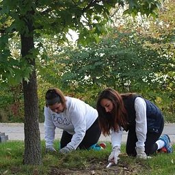 Horticulture Volunteer Day