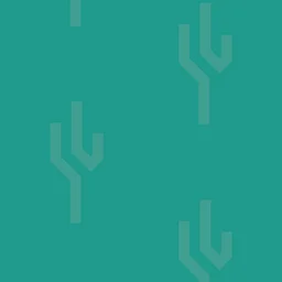 Teen Leadership Club