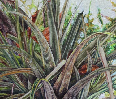 Members-Only Hour: Meet the Artist, Historias del aire y del suelo / Stories of Air and Soil