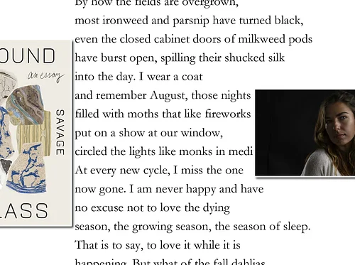 Writing Poetry About the Natural World