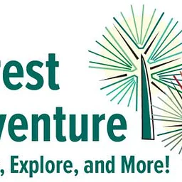Forest Adventure: Stories, Explore, and More!